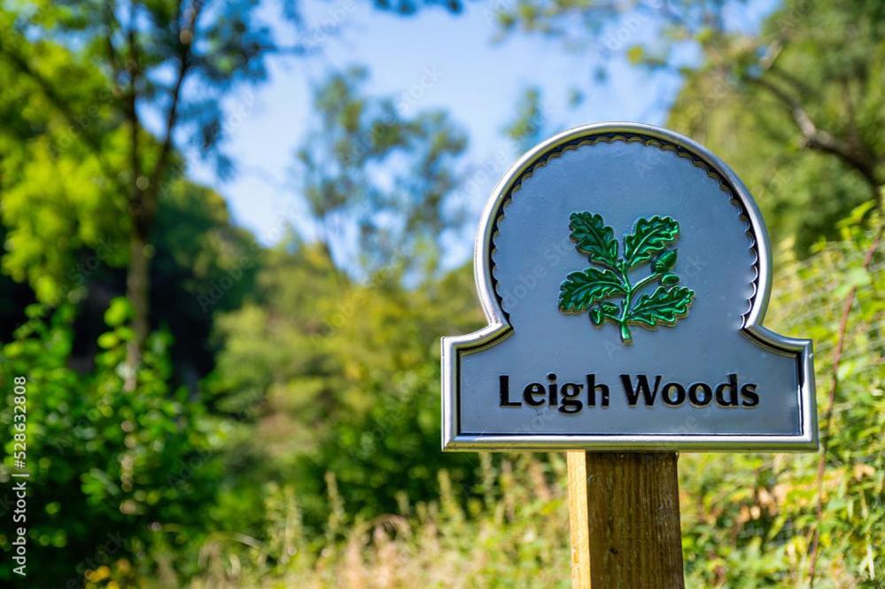 Peaceful Woodland Retreat Near Clifton, Bristol Villa Екстериор снимка