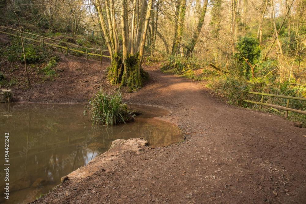 Peaceful Woodland Retreat Near Clifton, Bristol Villa Екстериор снимка